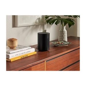 ERA-100 BLACK ALTAVOZ-SONOS